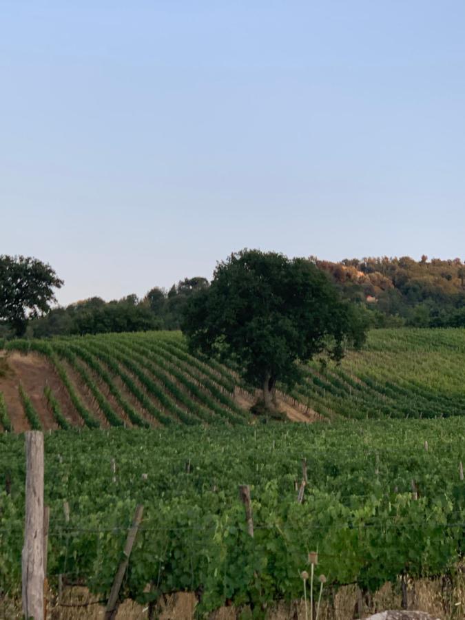 Podere Le Mulina Кастільйоне-д'Орчія Екстер'єр фото